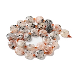 Natural Sunstone Beads Strands&nbsp;G-NH0004-021