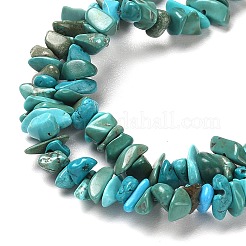 Natural Turquoise Chip Beads Strands&nbsp;G-D093-A01