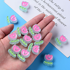 Transparent Acrylic Beads&nbsp;X-MACR-S374-03B-05