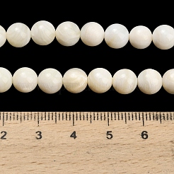 Natural Freshwater Shell Beads Strands&nbsp;SHEL-C010-06