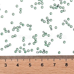 TOHO Round Seed Beads&nbsp;SEED-TR11-2202