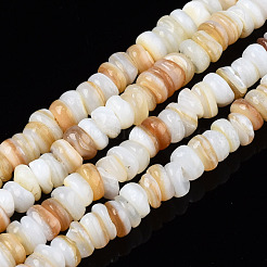Natural Freshwater Shell Beads Strands&nbsp;SHEL-S278-067