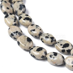 Natural Dalmatian Jasper Beads Strands&nbsp;G-Z006-A31