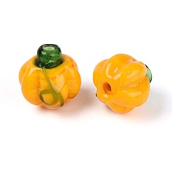 Handmade Lampwork Beads Strands&nbsp;LAMP-T022-16