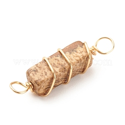 Natural Picture Jasper Connector Charms&nbsp;PALLOY-JF01580-04