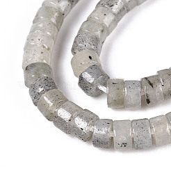 Natural Labradorite Beads Strands&nbsp;G-F631-A38