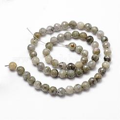 Natural Labradorite Beads Strands&nbsp;G-D840-10-6mm
