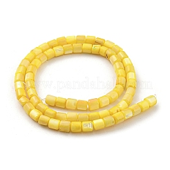 Natural Freshwater Shell Beads Strands&nbsp;SHEL-F008-04E