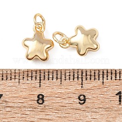 Brass Pendants&nbsp;KK-C143-20G
