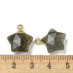 Natural Labradorite Pendants&nbsp;G-P540-01G-06