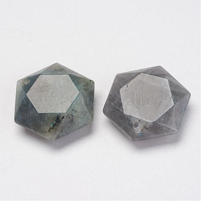 Natural Labradorite Pendants&nbsp;G-P264-01-1