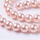 Shell Pearl Beads Strands&nbsp;BSHE-L035-10mm-I01-1