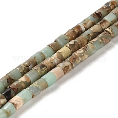 Natural Aqua Terra Jasper Beads Strands, Impression Jasper, Column, 4x4mm, Hole: 0.9mm, about 100pcs/strand, 15.94 inch(40.5cm)