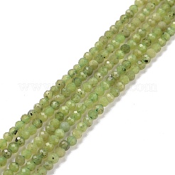 Natural Olive Jade Beads Strands&nbsp;G-D463-13A