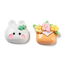 Opaque Resin Cabochons&nbsp;RESI-H155-03