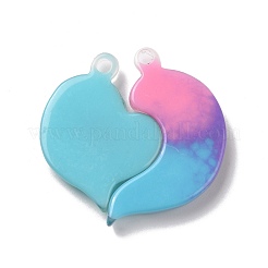 Gradient Color Translucent Resin Pendants&nbsp;RESI-G048-01C