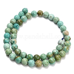Natural Peruvian Turquoise(Jasper) Beads Strands&nbsp;G-L642-B08-8mm