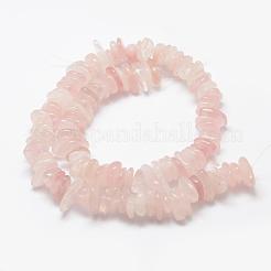 Natural Rose Quartz Beads Strands&nbsp;G-F521-06
