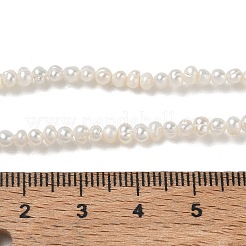 Natural Cultured Freshwater Pearl Beads Strands&nbsp;PA-CBAC463-36