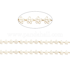 Handmade Alloy Link Chains&nbsp;CHC-M021-61G