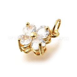 Brass Micro Pave Cubic Zirconia Pendants&nbsp;KK-V008-11G-04