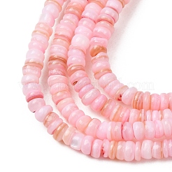 Dyed Natural Freshwater Shell Beads Strands&nbsp;SH-CBA2978-05D