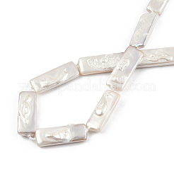 Plating Natural Freshwater Shell Beads Strands&nbsp;SHEL-N026-231
