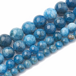 Natural Apatite Beads Strands&nbsp;G-S333-6mm-012