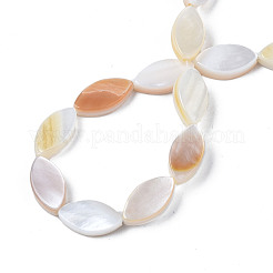 Natural Freshwater Shell Beads Strands&nbsp;SHEL-Q024A-017
