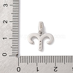925 Sterling Silver Micro Pave Clear Cubic Zirconia Pendants&nbsp;STER-H117-01P-01