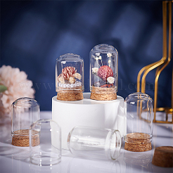 30Pcs Glass Dome Cloche Cover&nbsp;AJEW-BC0002-14A