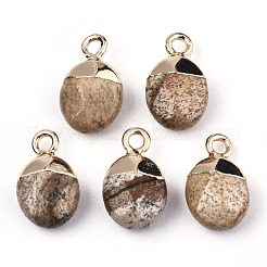 Natural Picture Jasper Charms&nbsp;G-N326-58D