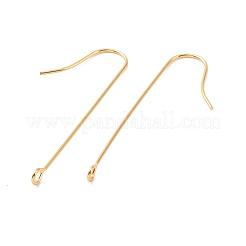 316 Surgical Stainless Steel Earring Hooks&nbsp;X-STAS-E027-01A-G
