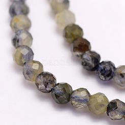 Natural Cordierite/Iolite/Dichroite Beads Strands&nbsp;G-F509-39-2mm