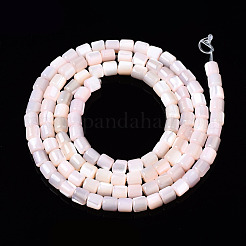 Natural Trochid Shell/Trochus Shell Bead Strands&nbsp;SSHEL-N034-77-C05