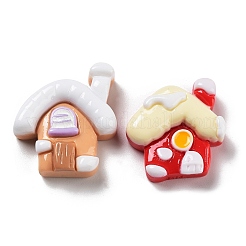 Opaque Resin Cabochons&nbsp;RESI-H155-09