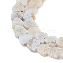 Natural Blue Lace Agate Beads Strands&nbsp;G-NH0001-B02-01