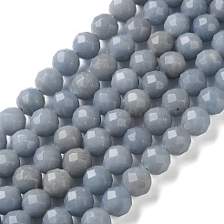 Natural Angelite Beads Strands&nbsp;G-C268-C01
