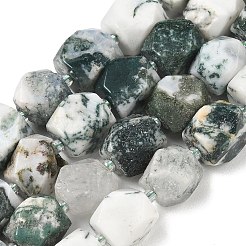 Natural Tree Agate Beads Strands&nbsp;GG-CBAF8A8-A04-01
