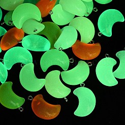 Luminous Resin Pendants&nbsp;RESI-Z038-01P-02