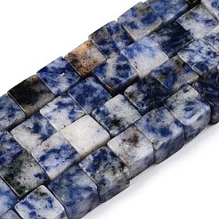 Natural Blue Spot Jasper Beads Strands&nbsp;G-T139-8x8-41