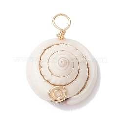 Natural Shiva Eye Shell Copper Wire Wrapped Pendants&nbsp;PALLOY-JF02680-01