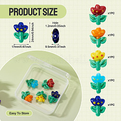 5Pcs 5 Colors Handmade Lampwork Beads&nbsp;LAMP-TA0002-15