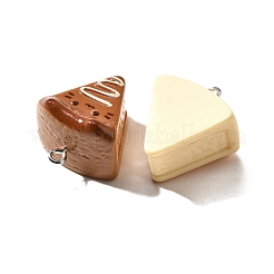 Cute Opaque Resin Pendants&nbsp;RESI-S014-01