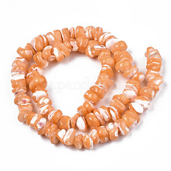 Natural Freshwater Shell Beads Strands&nbsp;SHEL-N003-23-B06