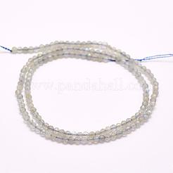 Natural Labradorite Beads Strands&nbsp;G-F509-03-3mm
