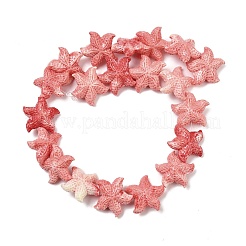 Synthetic Coral Dyed Beads Strands&nbsp;SHEL-Z003-04A
