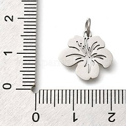 304 Stainless Steel Charms&nbsp;STAS-Z119-26P
