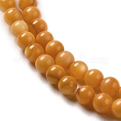 Natural Freshwater Shell Beads Strands&nbsp;SHEL-H003-03E
