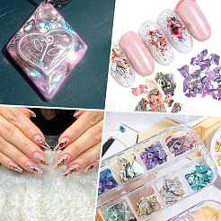 1 Set 12 Colors Shell Slices&nbsp;MRMJ-SP0001-05A